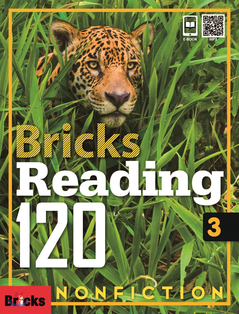 Bricks Reading Nonfiction 120