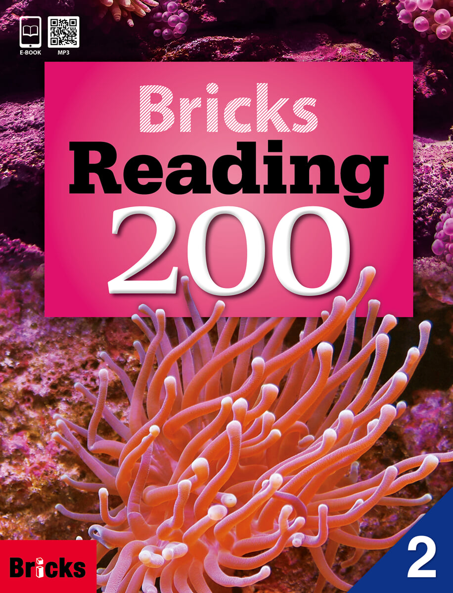 Bricks Reading 200