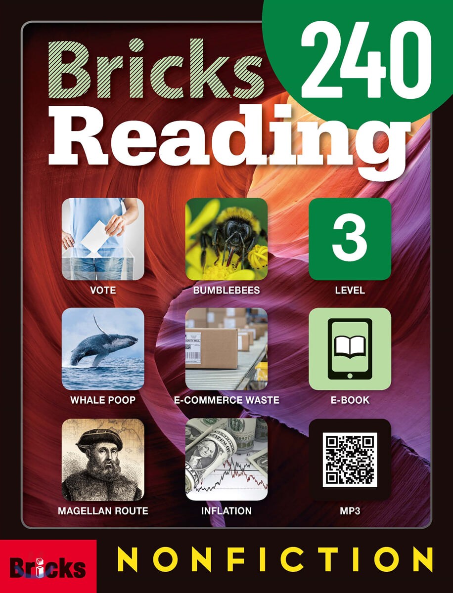 Bricks Reading Nonfiction 240