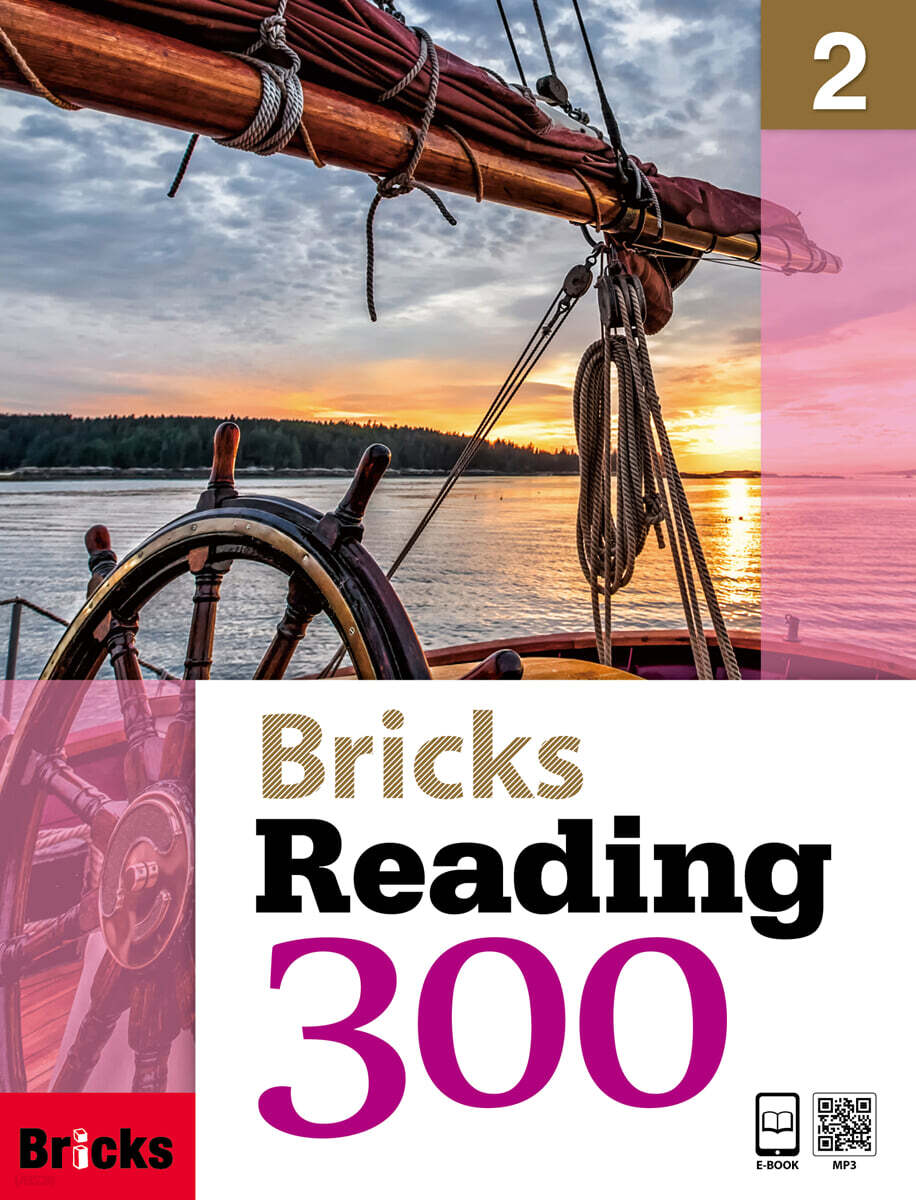 Bricks Reading 300