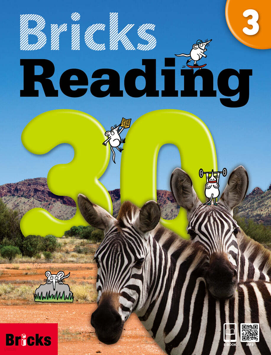 Bricks Reading 30