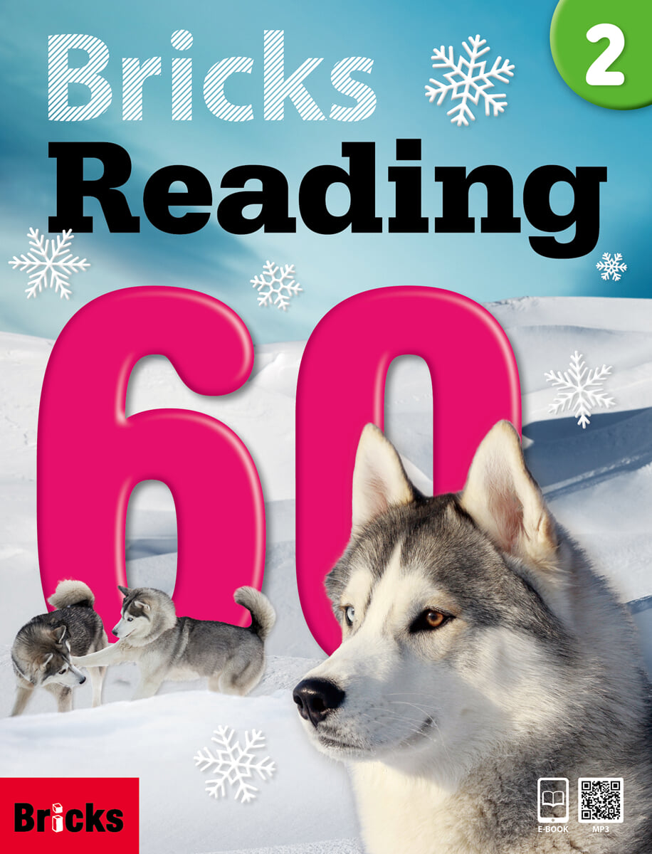 Bricks Reading 60